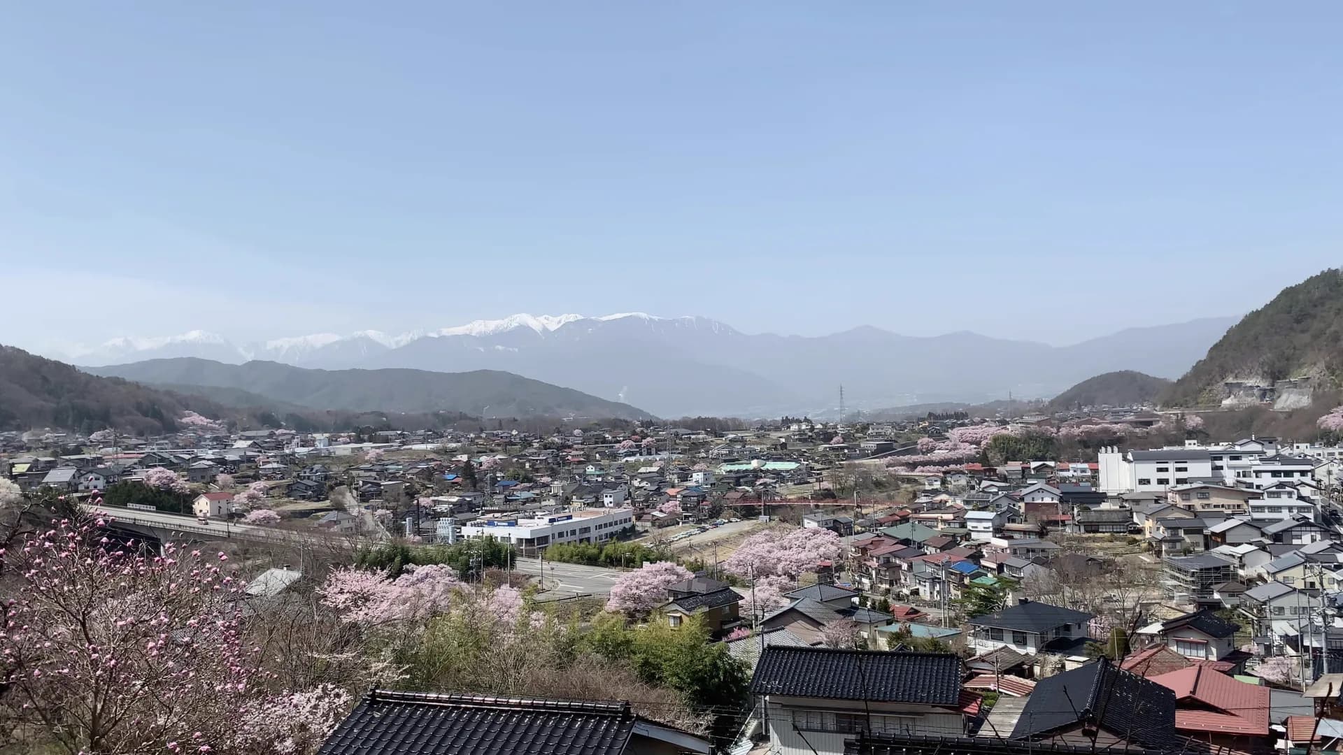 桜が咲く長野県の街並みと残雪の山々